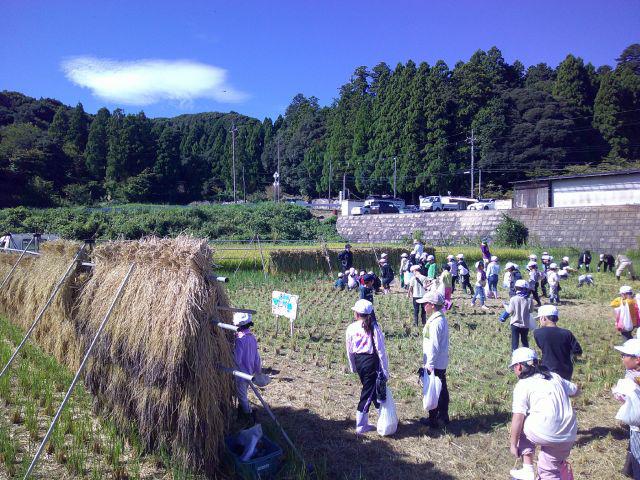 DSCF0543.JPG