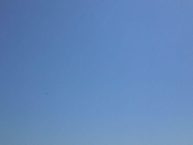 DSCF0561.JPG