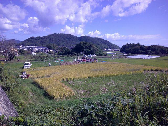 DSCF0621.JPG