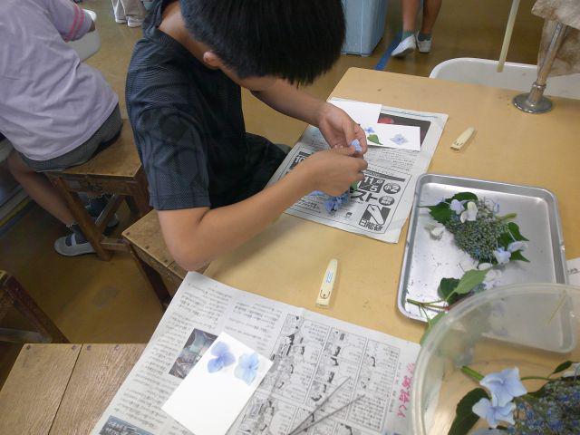 DSCF0632.JPG