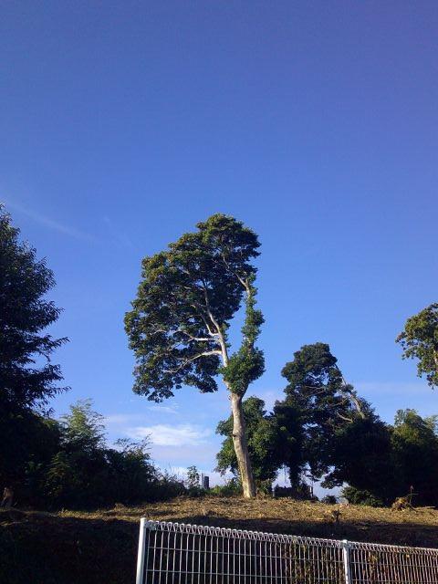 DSCF0669.JPG