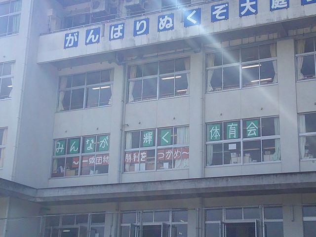DSCF0784.JPG