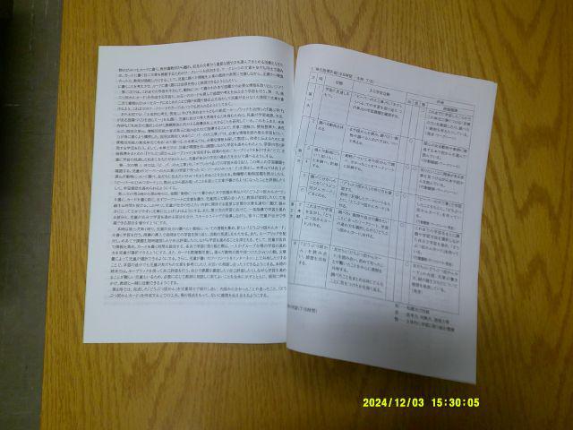 DSCF0953.JPG