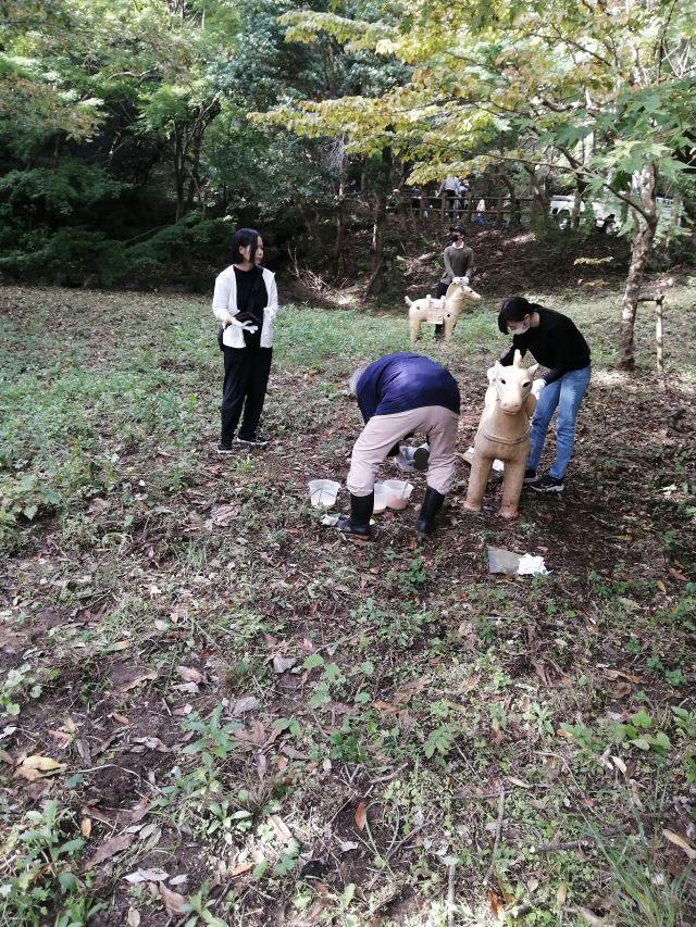IMG_20241110_102355.jpg