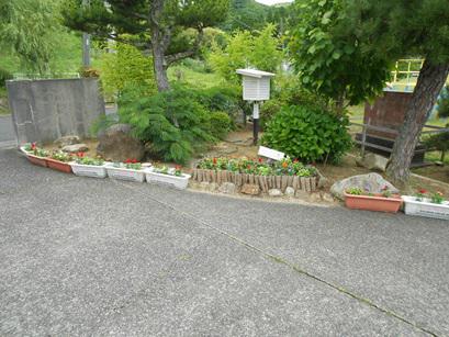 DSCN9213.JPG