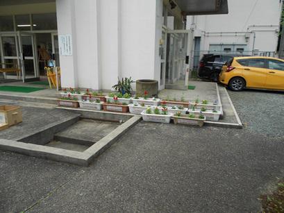 DSCN9214.JPG