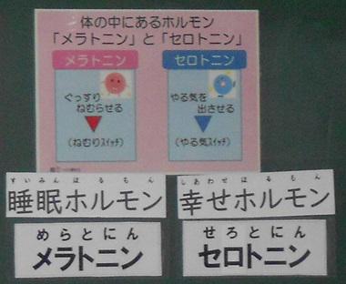 DSCN9439.JPG