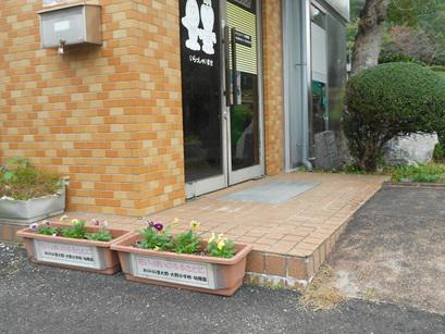 DSCN9517.JPG