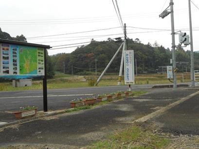 DSCN9518.JPG