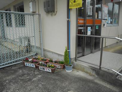 DSCN9521.JPG