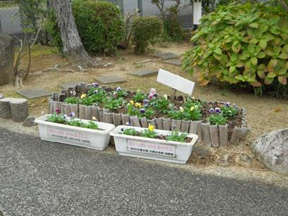 DSCN9522.JPG
