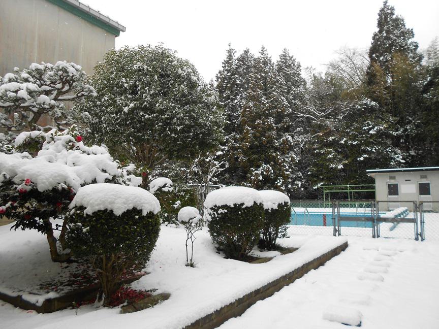 DSCN9764.JPG