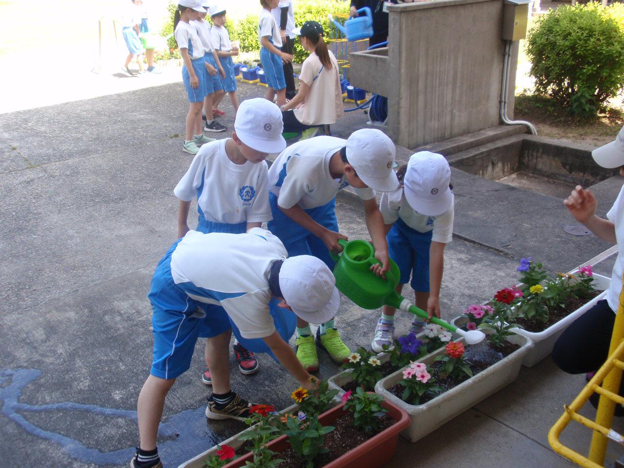 P1010053.JPG