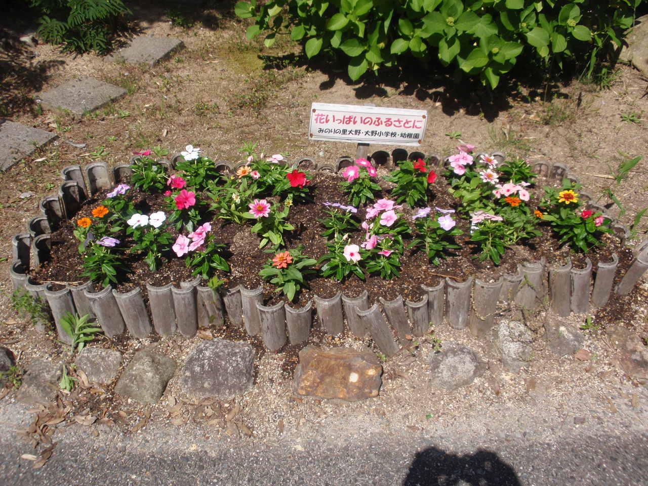 P1010061.JPG