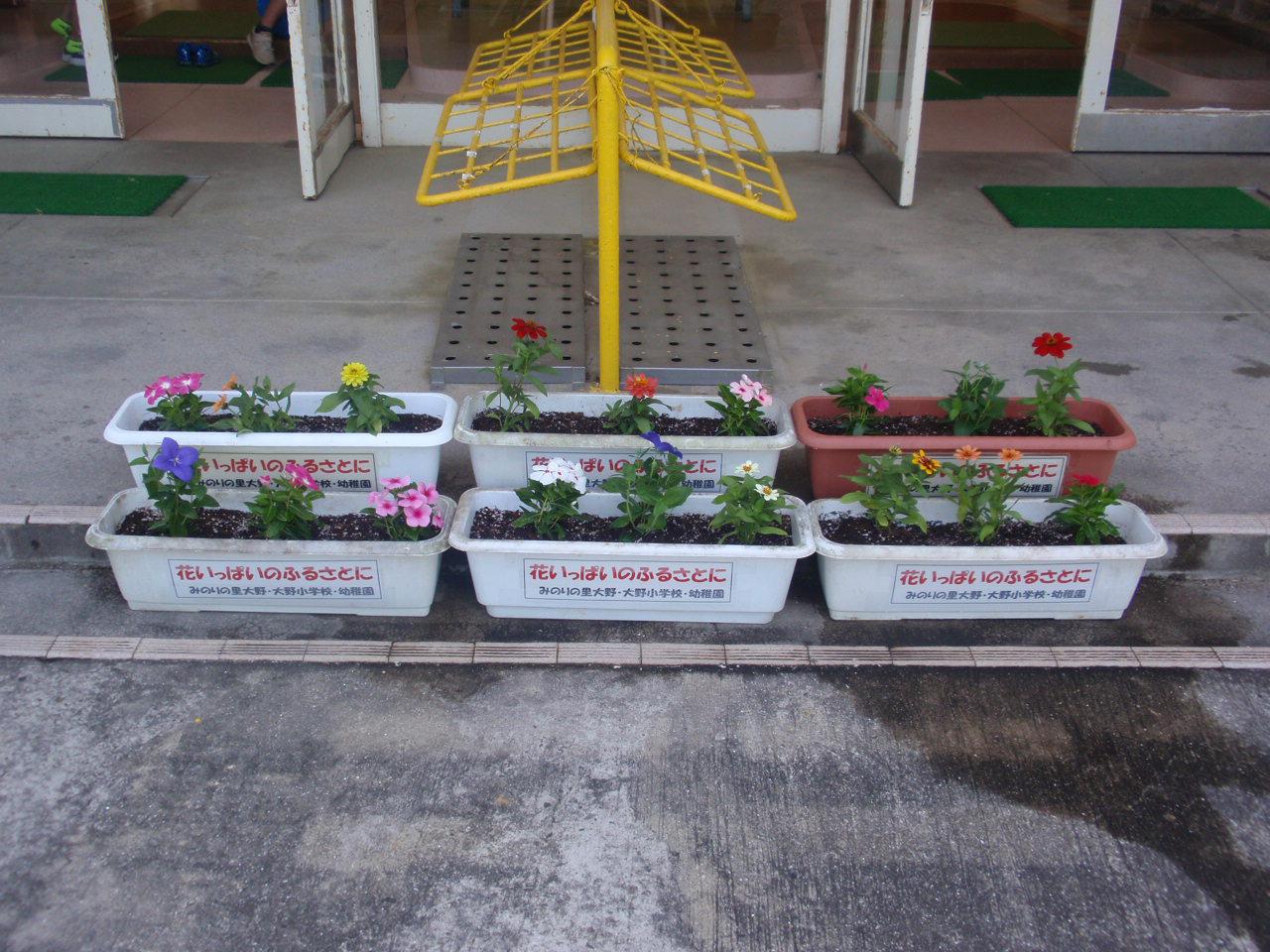 P1010064.JPG