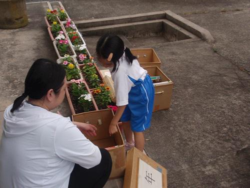 P1010004.JPG