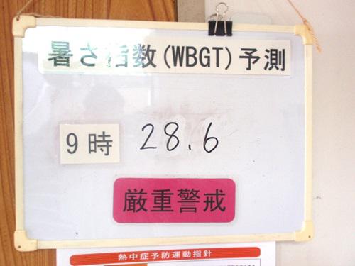 5.JPG