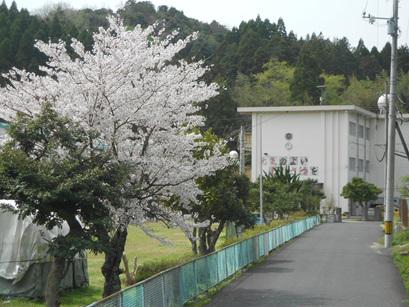 DSCN8536 - コピー.JPG