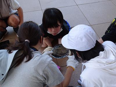 火起こし (2).jpg