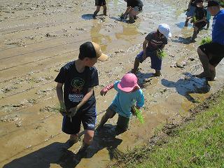 IMG_1968.jpg