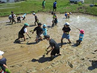 IMG_1971.jpg