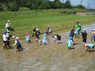 IMG_1978.jpg