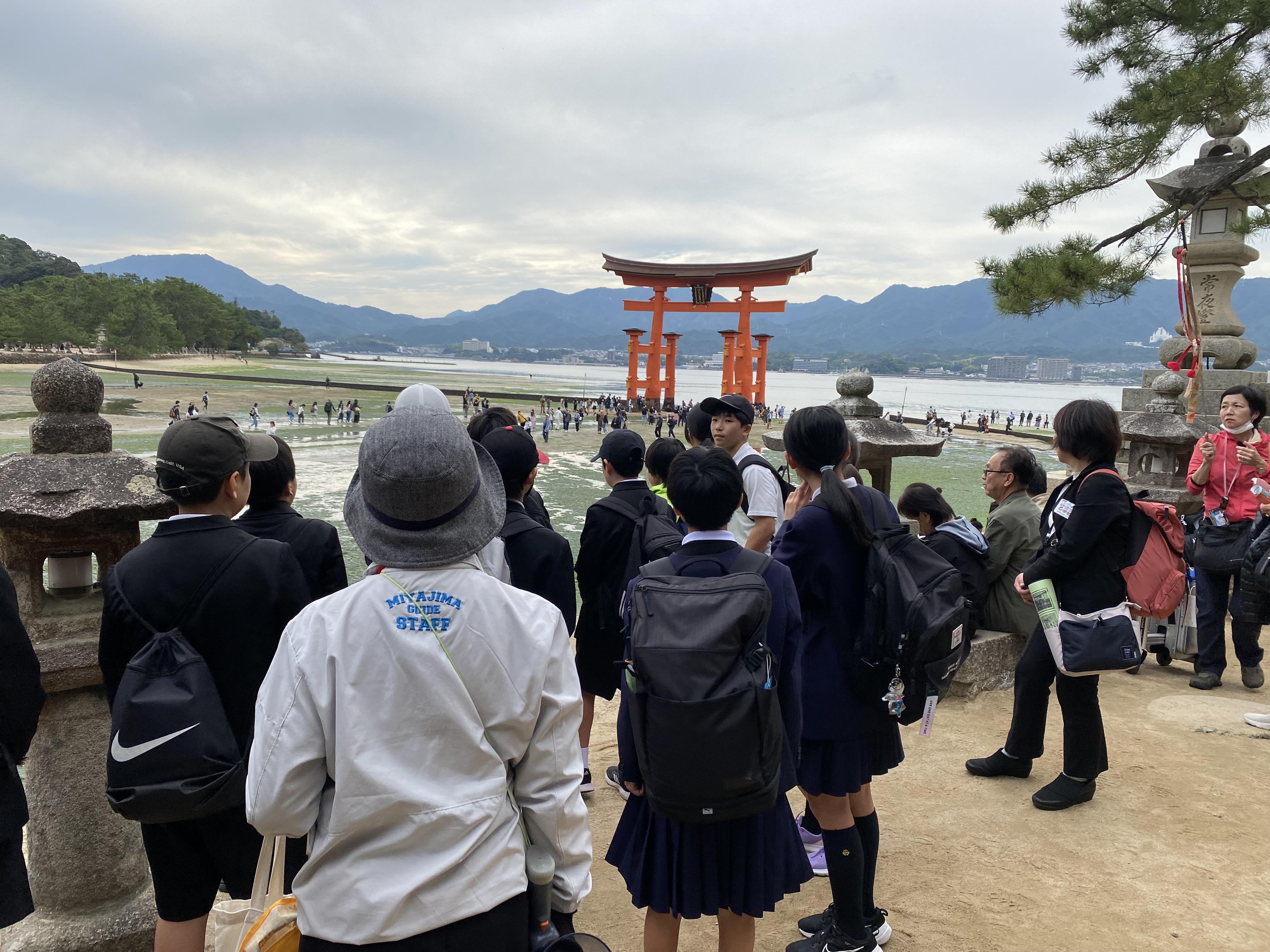 IMG_3474.jpeg