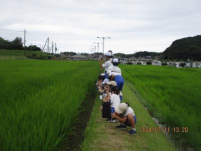 IMG_5729.jpg