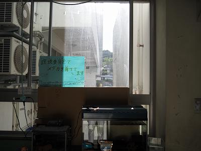 P1010001.jpg