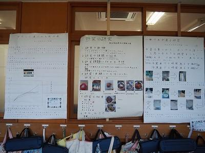 P1010005.jpg