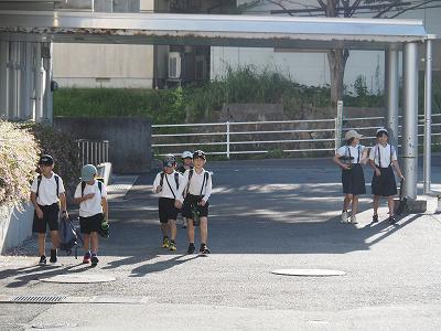P1010006.jpg