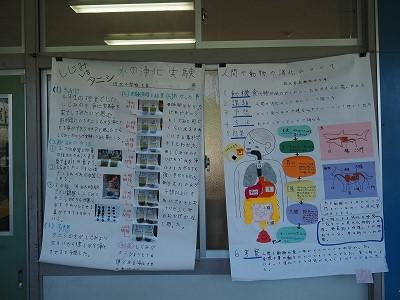 P1010010.jpg