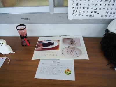 P1010020.jpg