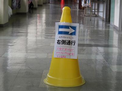 P1010026.jpg