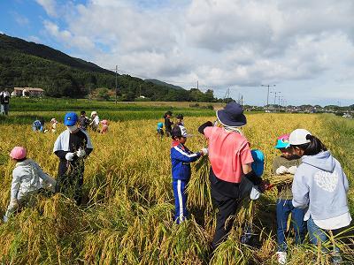 P1010063.jpg