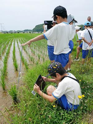 P1140601.jpg