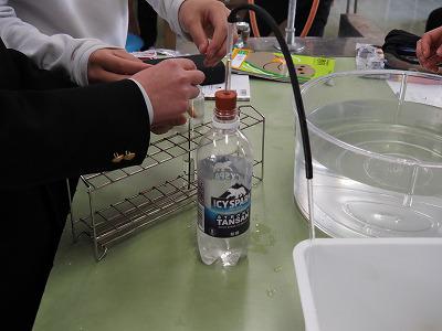 P1240017.jpg