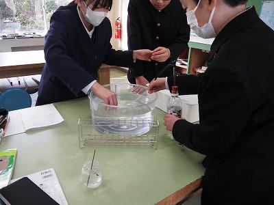 P1240018.jpg