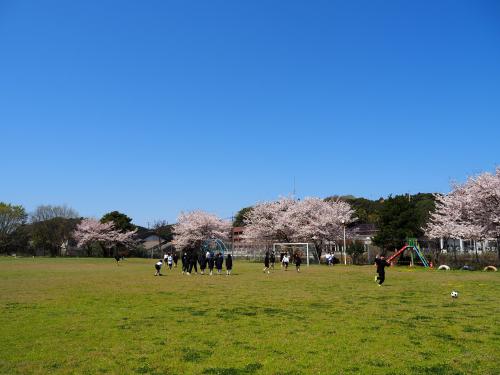 P4080150.JPG