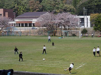 P4120006.jpg