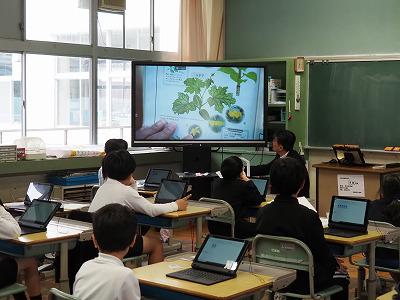 P4150006.jpg