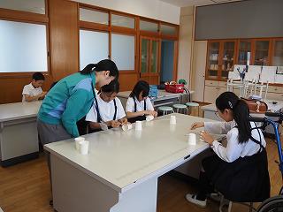 P5150020.jpg