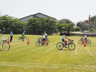 P5200040.jpg