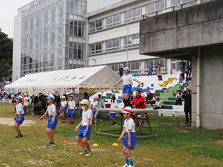 P5310024.jpg