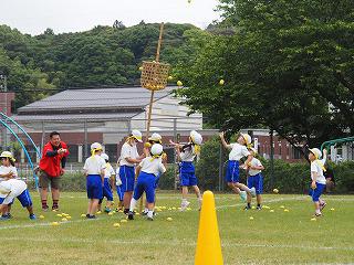 P5310299.jpg
