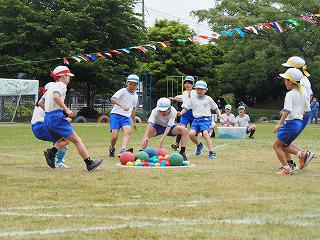 P5310377.jpg