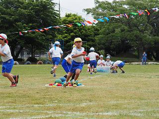 P5310383.jpg
