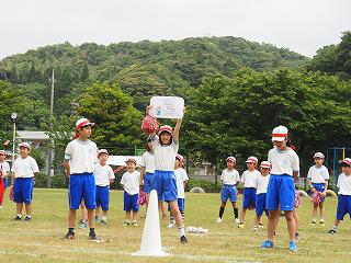 P5310485.jpg