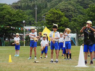 P5310632.jpg