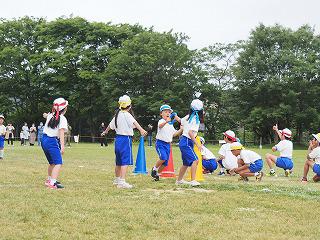 P5310676.jpg